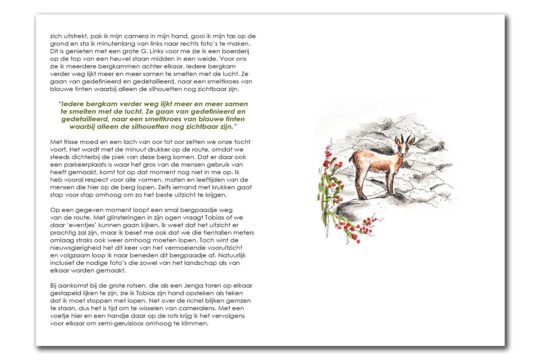 It Rocks (NL) - quotes en illustraties